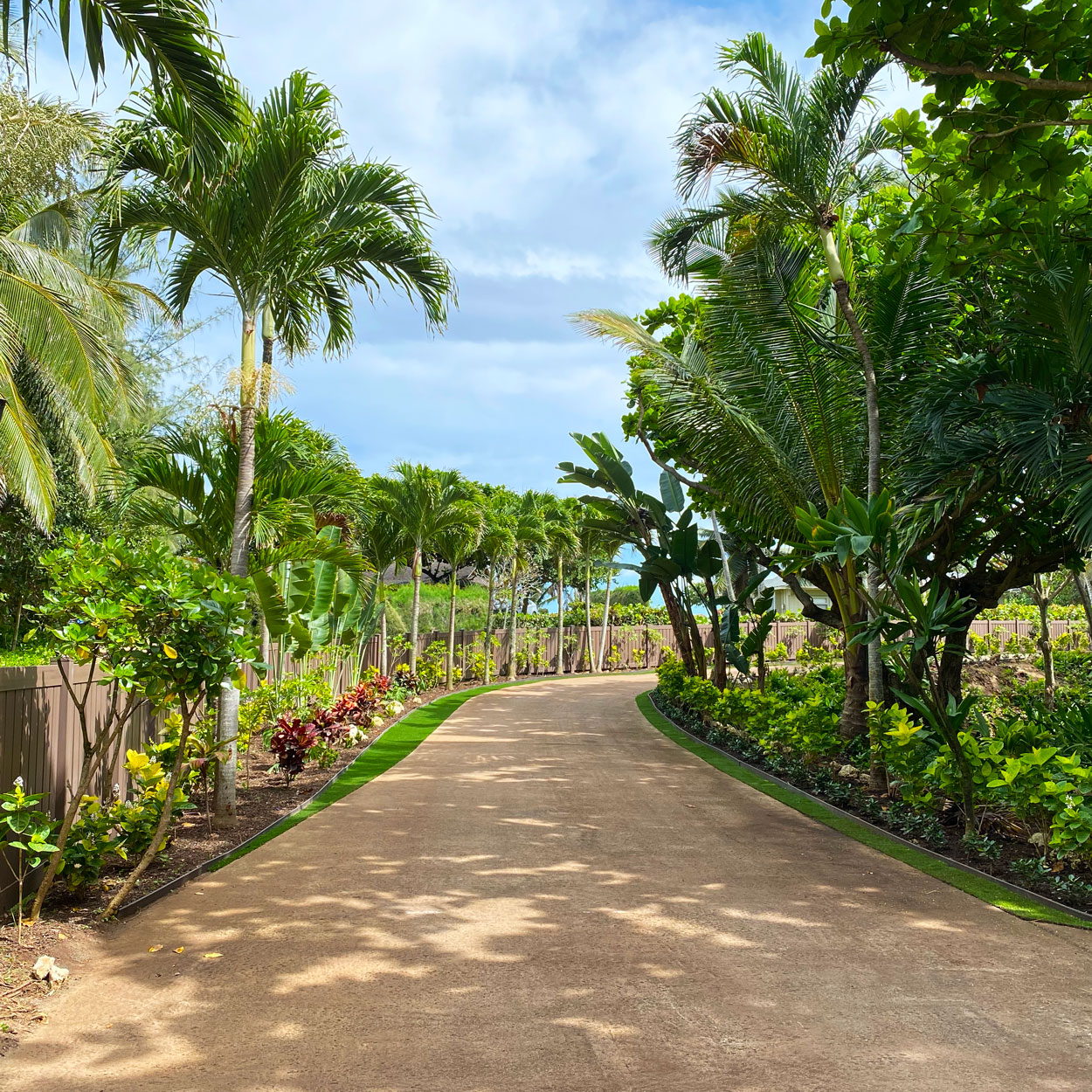 lush driveway landscape plantings of driveway installation by lush palm landscapes