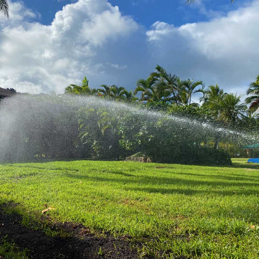 irrigation sprinkler spraying a lawn