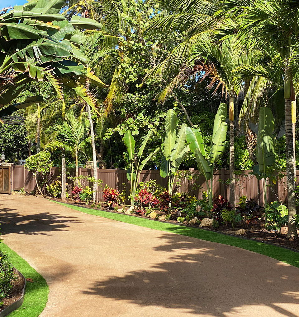 lush landscape planting of driveway on the north shore of oahu
